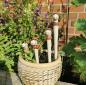 Preview: Wattwurm Gartenstecker - rot -  15 cm